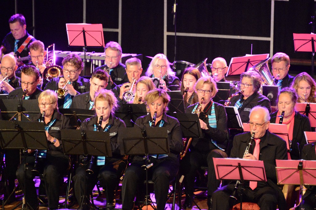 ../Images/Jubileumconcert 100 jaar Harpe Davids 270.jpg